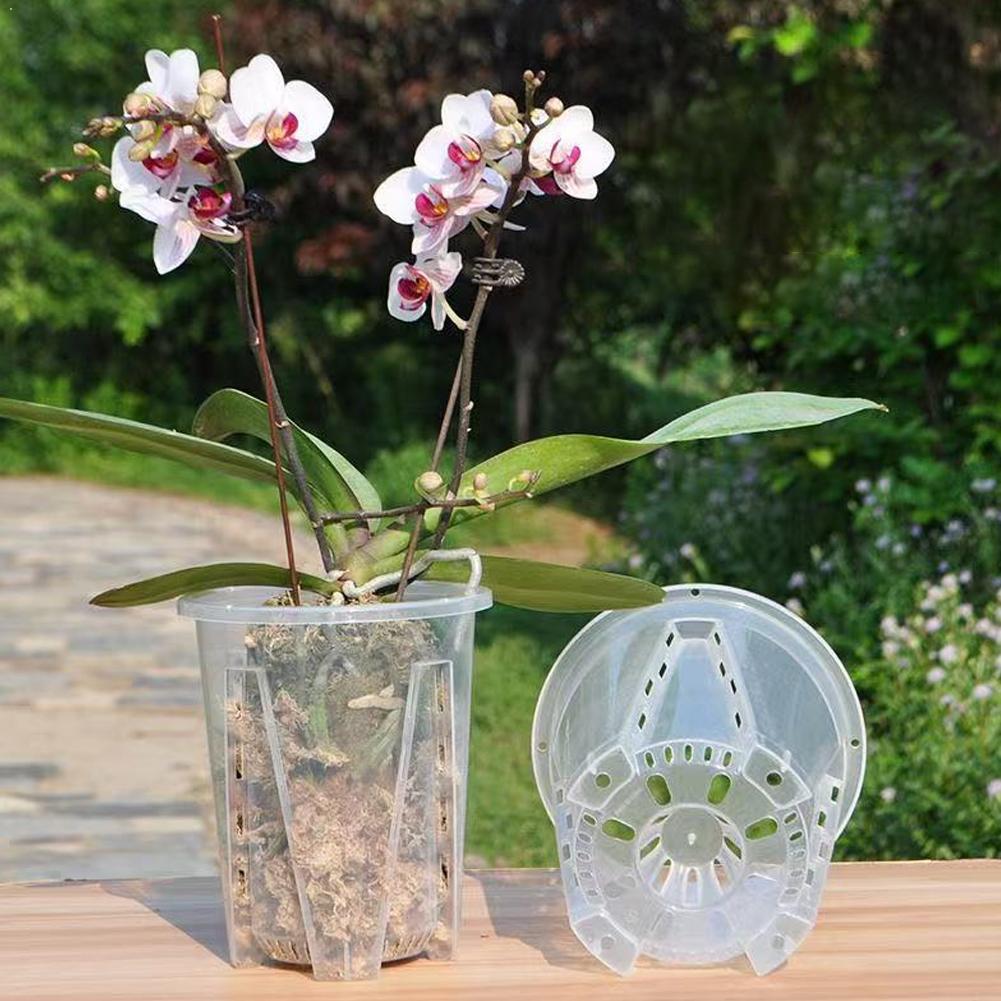 Plant Parent - Plastikowa doniczka do kontroli korzeni, przezroczysta,