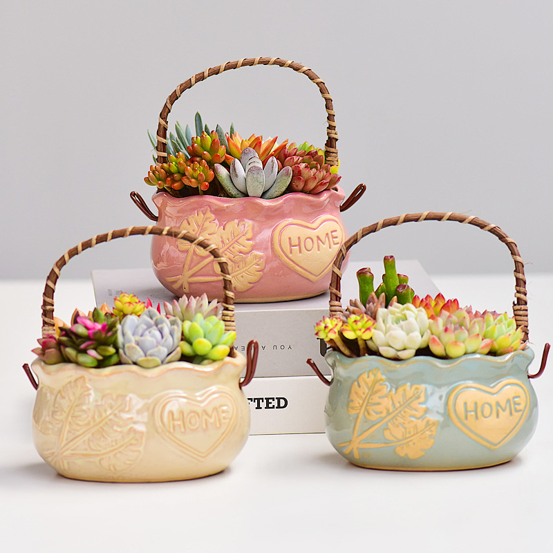 Snake Plant Ceramic - Ceramiczny koszyk na sukulenty w stylu