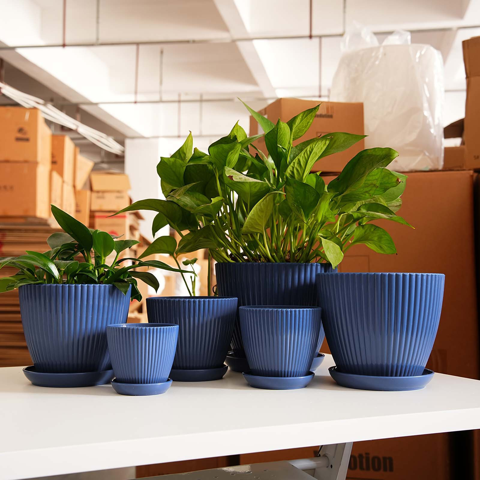 Snake Plant Ceramic - Doniczka w pionowe paski, pogrubiona plastikowa