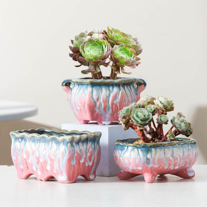 Kreatywna przeszklona doniczka – Snake Plant Ceramic recenzja i cena