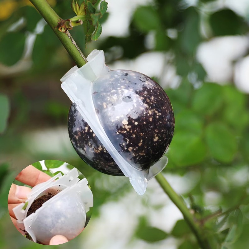 5/30 szt. Kulki do ukorzeniań  – Plant Parent recenzja i cena