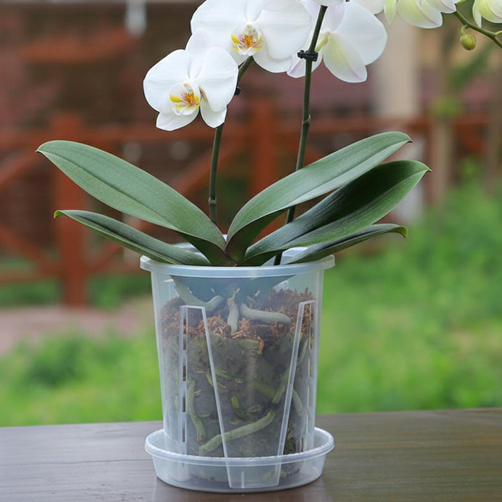 Plastikowa doniczka do kontrol – Plant Parent recenzja i cena