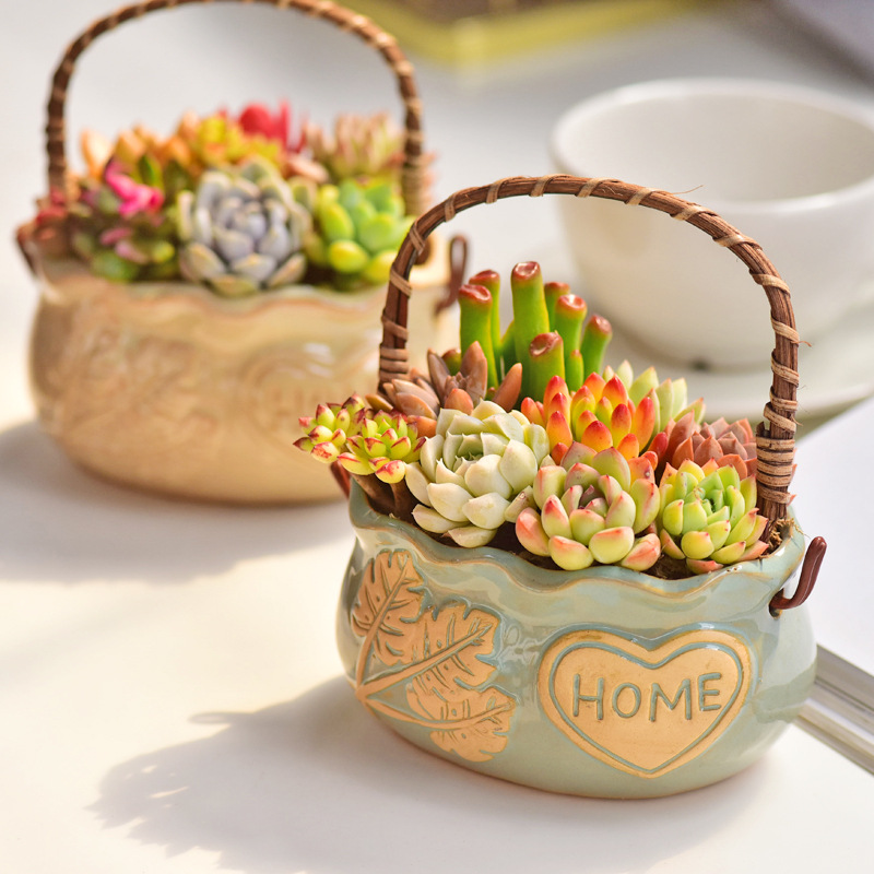Ceramiczny koszyk na sukulenty – Snake Plant Ceramic recenzja i cena