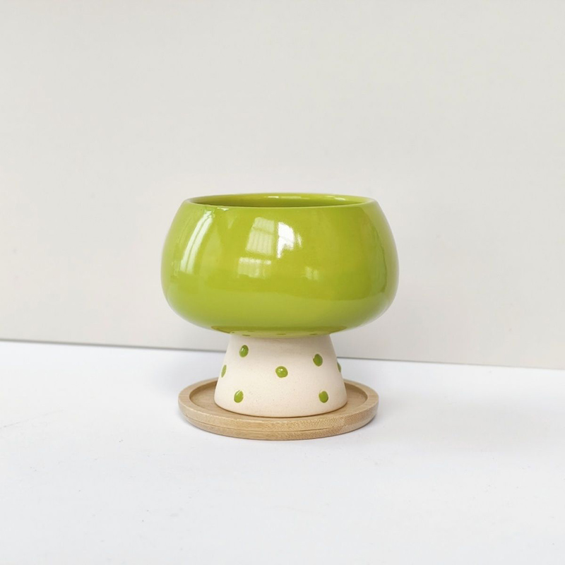 Stylowa, minimalistyczna ceram – Snake Plant Ceramic recenzja i cena
