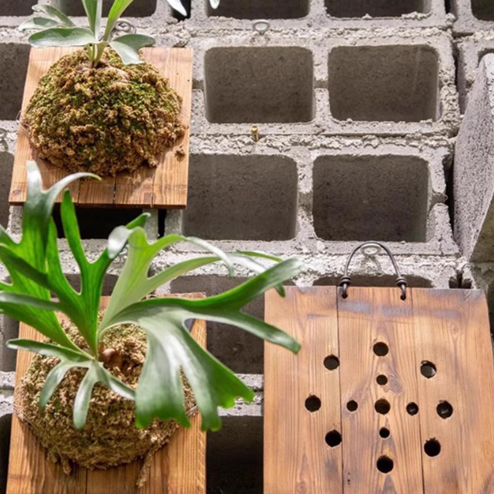 1 szt. Wewnętrzna Drewniana Ta – Plant Parent recenzja i cena