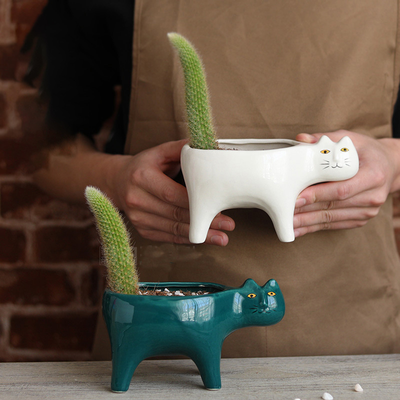 Cute Cat Ceramic Garden Flower – Snake Plant Ceramic recenzja i cena