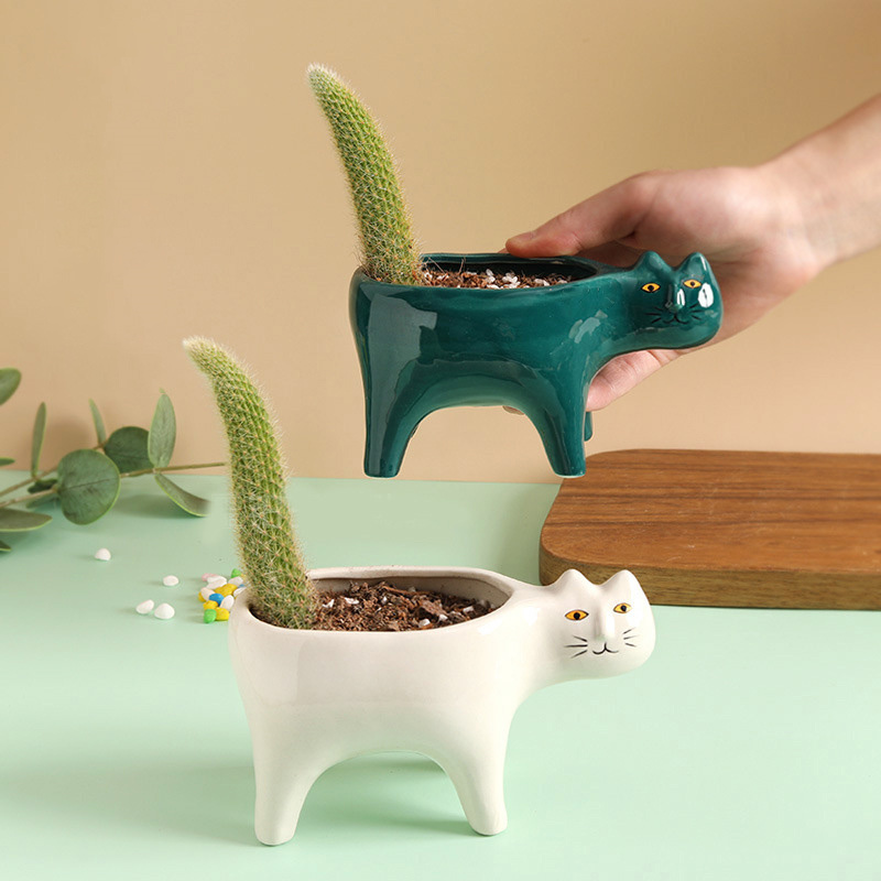 Cute Cat Ceramic Garden Flower – Snake Plant Ceramic recenzja i cena