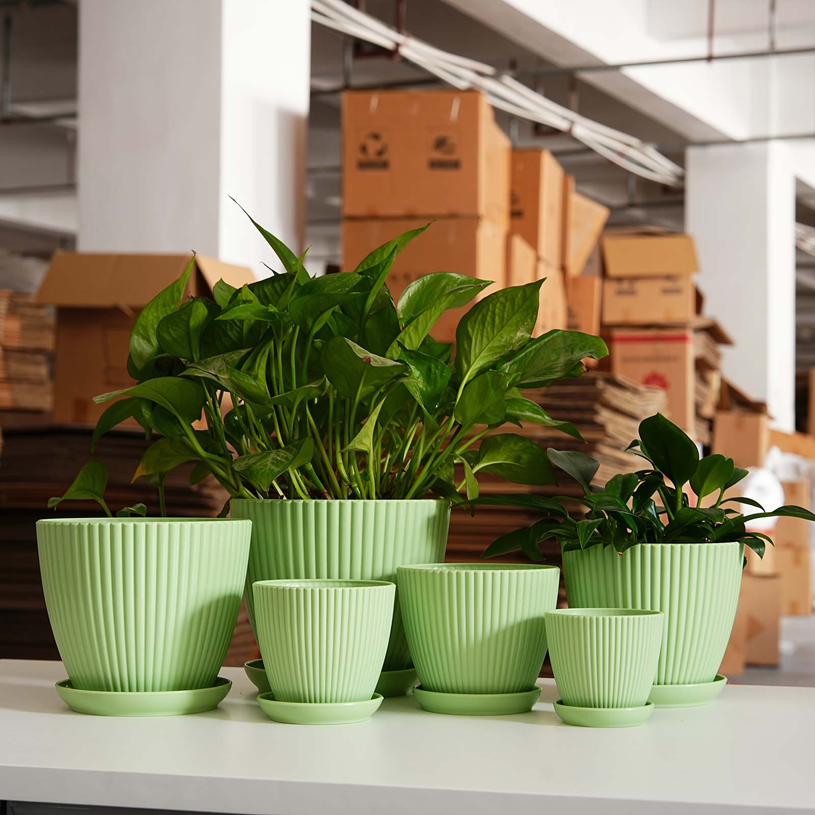 Doniczka w pionowe paski, pogr – Snake Plant Ceramic recenzja i cena