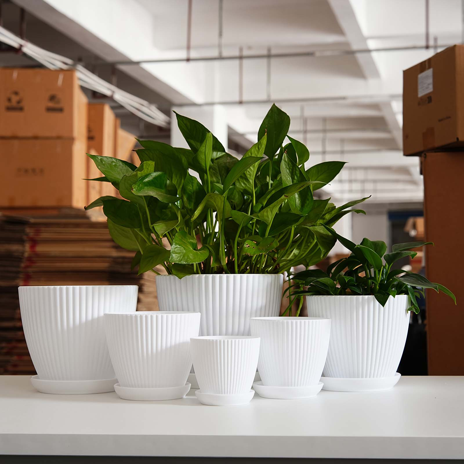 Doniczka w pionowe paski, pogr – Snake Plant Ceramic recenzja i cena